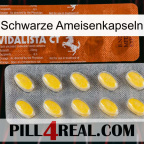 Black Ant Capsules 42